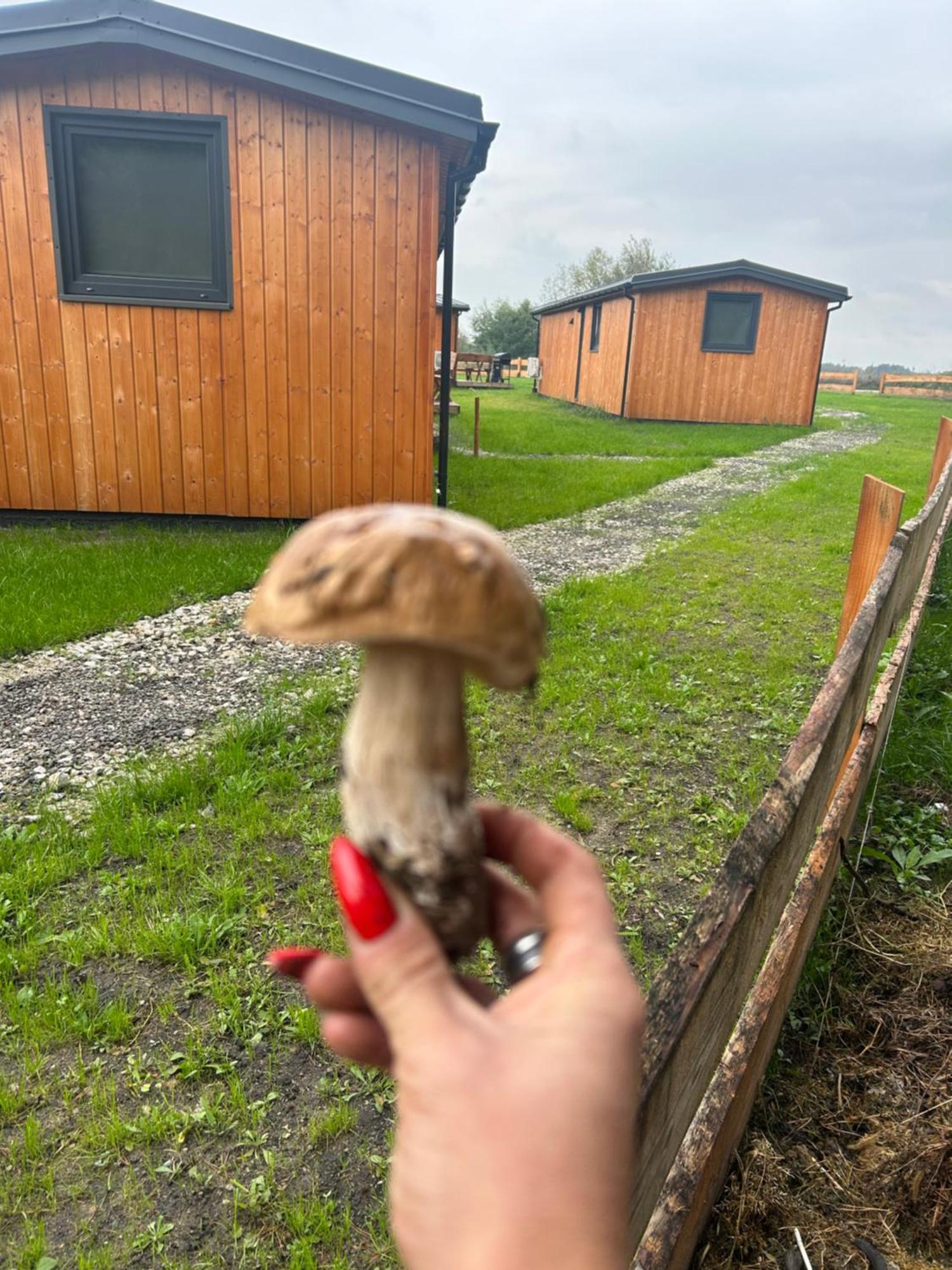 Zacisze Obok Suntago Park Grabce-Towarzystwo Exterior foto