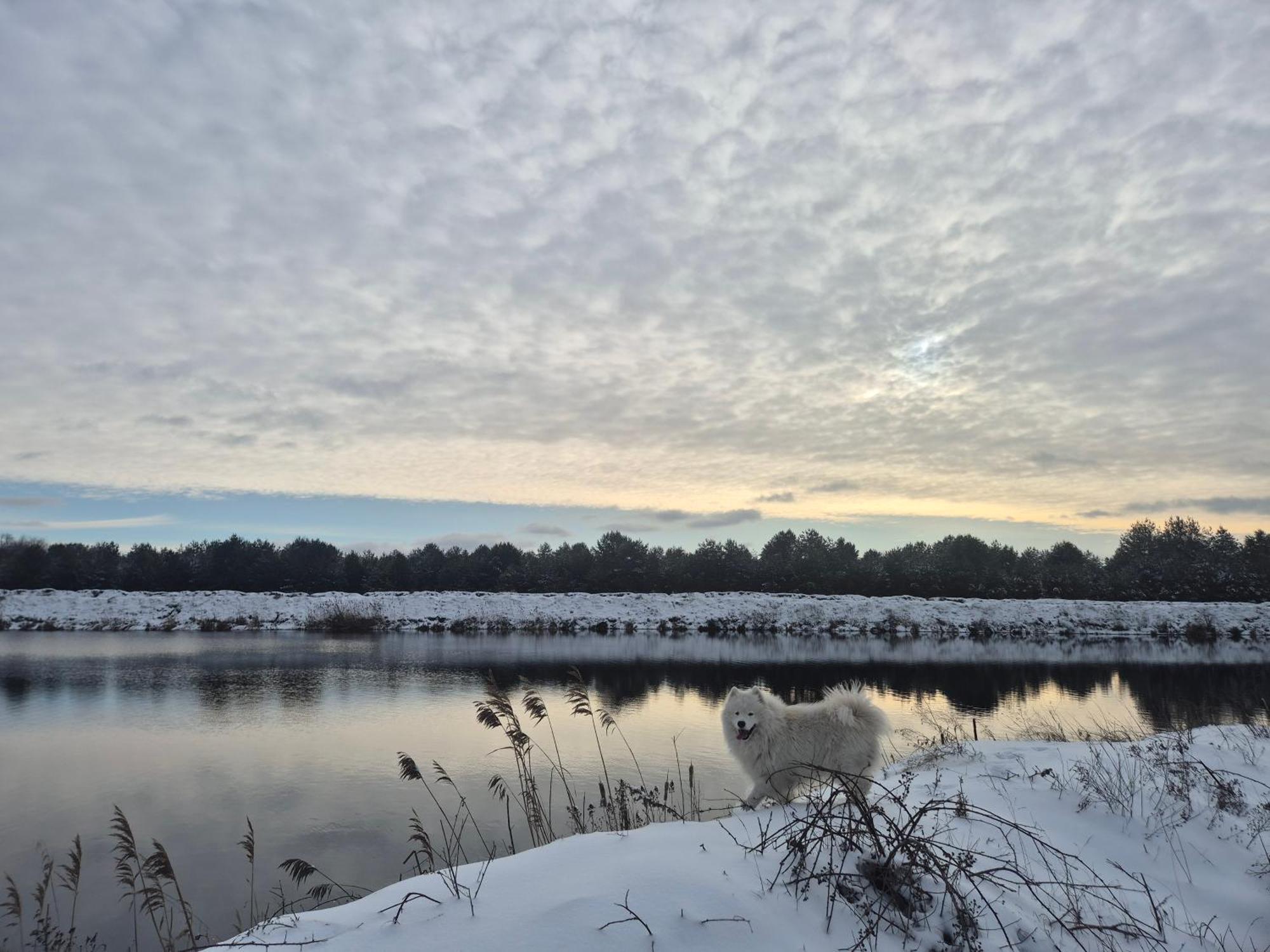 Zacisze Obok Suntago Park Grabce-Towarzystwo Exterior foto